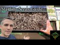 Starting seeds guide  seeds and growing media