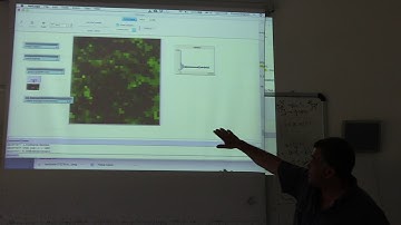 Introduction to agent-based modeling with NetLogo lesson 3 second part