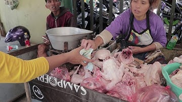 Home // SHINING OF KLATEN