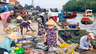 Nghề Đáy Sông Cầu Vàm Láng Tiền Giang║Chợ Vàm Láng Nhiều Hải Sản Cửa Sông