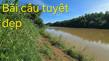 Câu Cá sông Bé  sắp vô mùa săn cá Tra thử vận may cà cái kết....