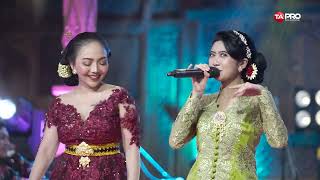 Ochi Alvira Ft. Syahiba Saufa - Pantun Janda - Dangdut Campursari Version