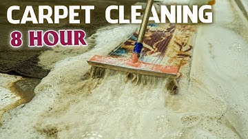 8 Hours Carpet Cleaning for Sleeping – ASMR Deep Sleep and Relaxation