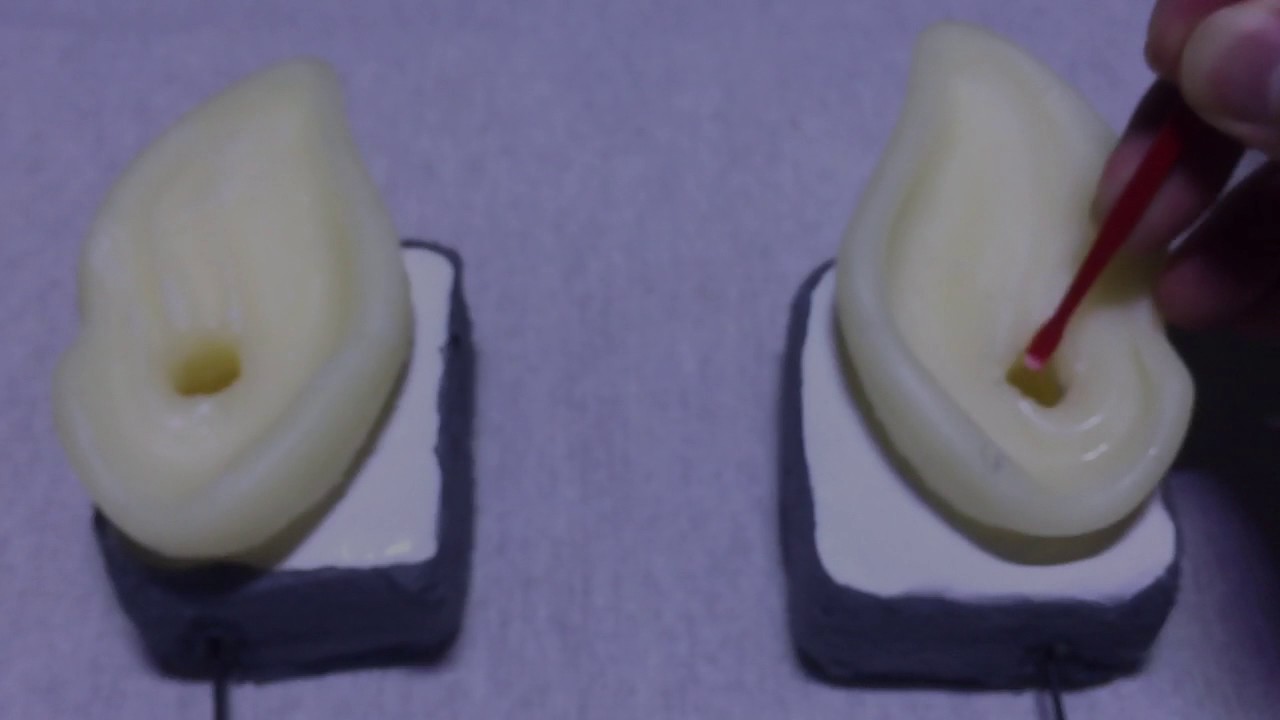 ASMR　ゴソゴソ耳かき  Ear Cleaning