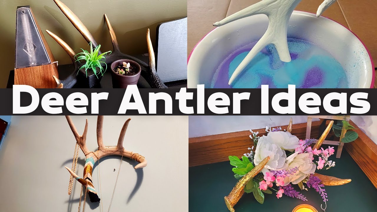 Diy Antler Crafts Home Decorating