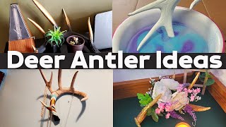 DIY Antler Crafts | Home Decorating with Deer Antlers