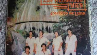 Video thumbnail of "Los Hermanos Mier - Para Que Volver"