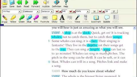 Kurzweil 3000: Grammar and Usage - Highlighter Definition Video