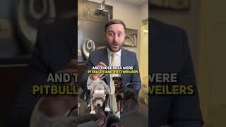 Are Pitbulls Actually Dangerous Animals? 🐕 #lawyer #law #facts #tips #viral #social #shorts