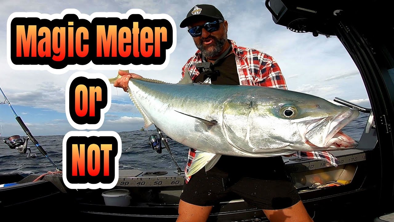 Magic meter or not, #Kingfish on live Bait - YouTube