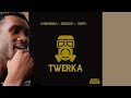 Shebeshxt, Dj Maphorisa & Xduppy - Twerka (Official Audio) REACTION