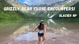 GRIZZLY BEARS!! Close Encounters in GLACIER NATIONAL PARK