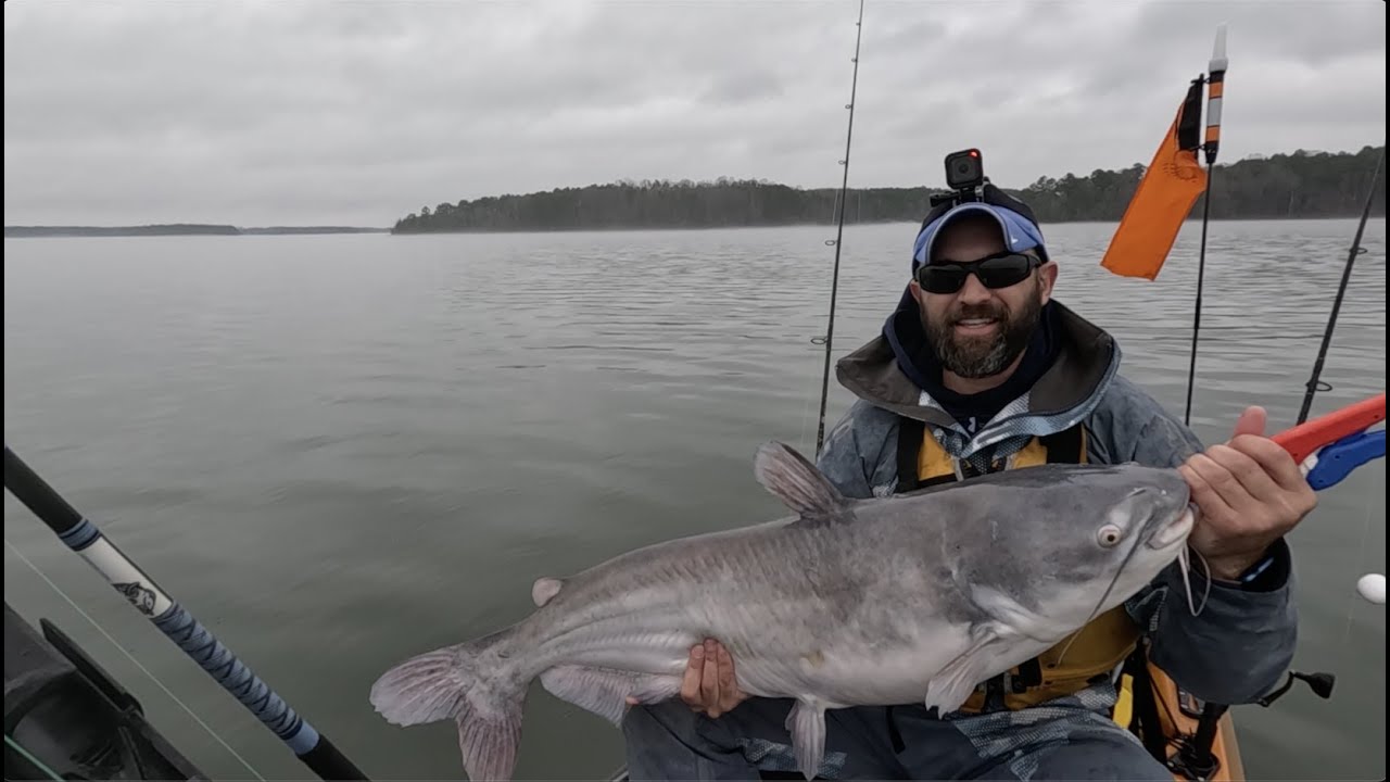 Winter Kayak Fishing for Blue Catfish at Kerr Lake, NC w Livescope
