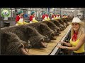 How Texas Farmers Trap and Process Millions of Wild Boars for Meat | Inside $100M U.S. Industry