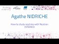 28 - How to study neutrino with Neutron STEREO by Agathe Nidriche