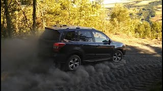 Trois années sur les pistes Subaru Forester SJ  (Three years off-road)