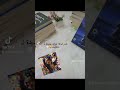 بصيرا أحمد بن ماجد سلسلة تحقيقات نوح الألفي قضية لوز مر قضية عنب الثعلب جثة في بيت طائر الدودو بصيرا أحمد بن ماجد سلسلة تحقيقات نوح الألفي قضية لوز مر قضية عنب الثعلب جثة في بيت طائر الدودو