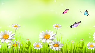 Видеофон футаж. Анимированный фон луг, поляна, бабочки. Цветы ромашки  блестки, трава. Весна, лето.