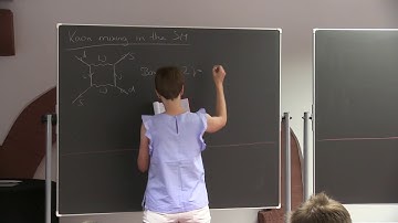 Monika Blanke (KIT): Flavor Physics - Lecture 2