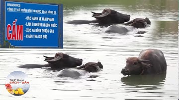 Nỗ lực giải ‘bài toán’ nước sạch cho người dân Thủ đô | An toàn 365