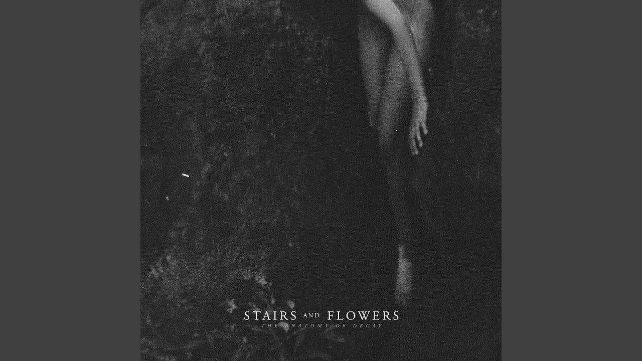 The Anatomy of Decay / III