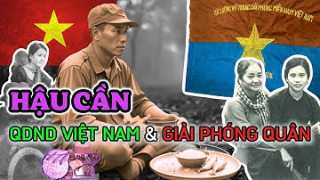 Một Bát Cơm, Hai Con Cá: Bữa Ăn Của QĐND Việt Nam và Giải Phóng Quân Dưới Mưa Bom Mỹ