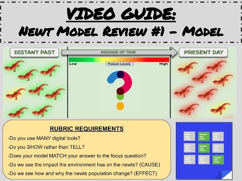VIDEO GUIDE: Newt Model Review #1 - Model