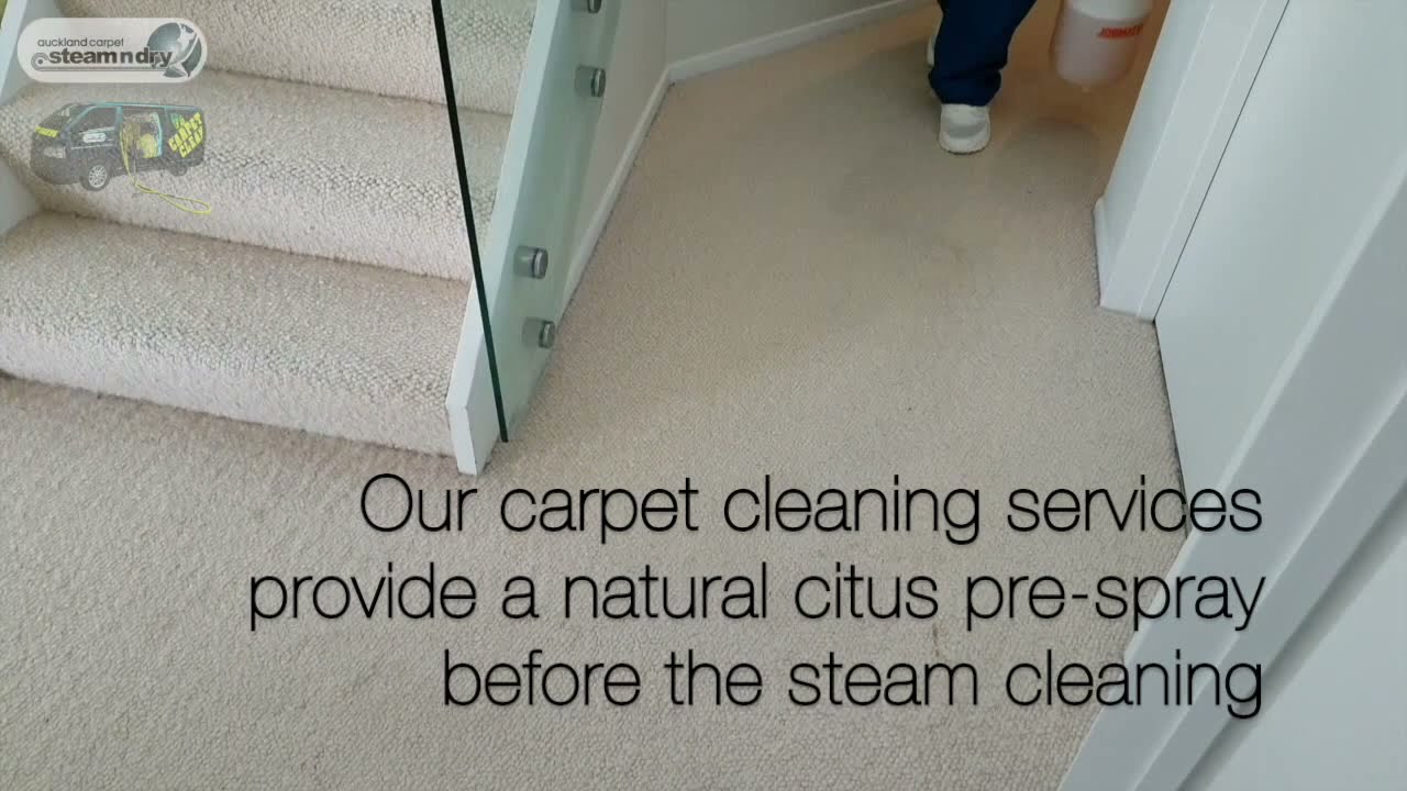 How do we Clean Carpets at Auckland Steam'N'Dry?
