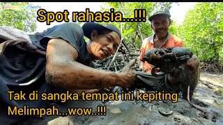 Tak di sangka | tempat berburu kepiting bakau | hasil melimpah.