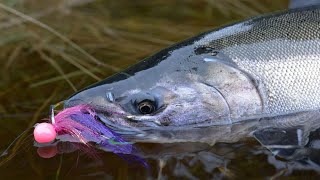 Addicted Alaska 1  Alaskan Salmon Fishing (Full Movie)