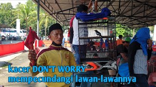 Waspada !! Kacer DON'T WORRY mulai buat ulah bagi kacer-kacer legend screenshot 4