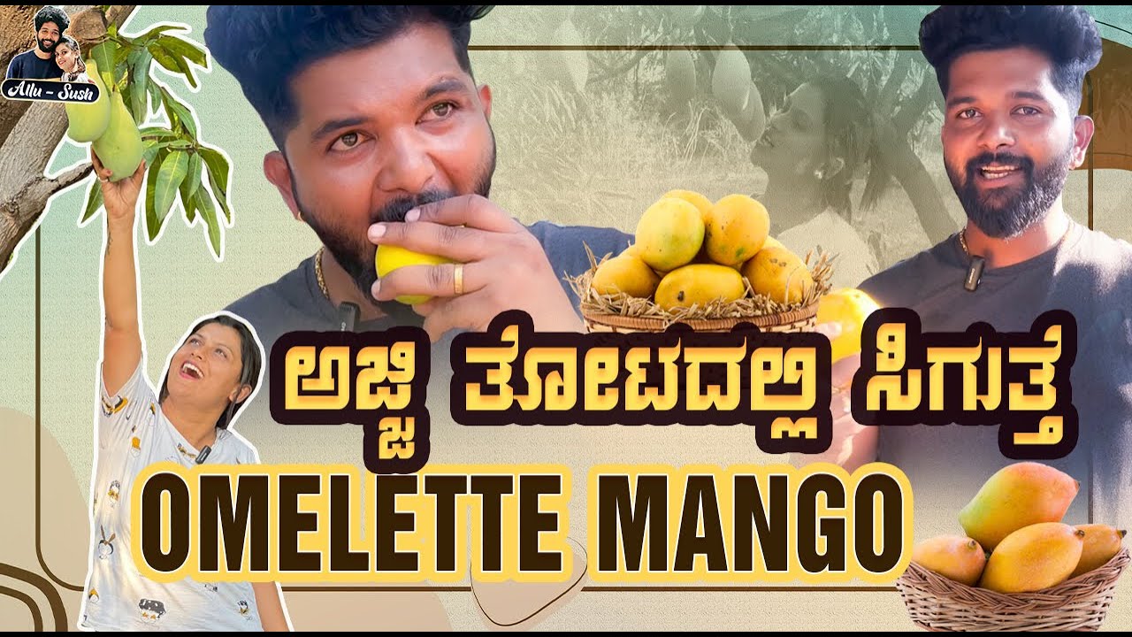 ಅಜ್ಜಿ ತೋಟದ Omelette Mango | Mango harvest | Ajji Thota in Hospete | Kannada Vlogs | Allu Raghu
