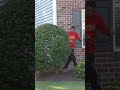 Wrapping Crape Myrtle in Christmas Lights