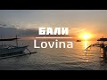 Поездка в Ловину | Дельфины | Снорклинг | Где искать актуальные новости Бали