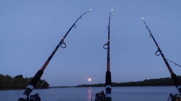 Câu cá giải trí khi sửa máy ghe xong | Cá Bông Lau, cá Úc | Sông Nước Cần Giờ - Châu Huỳnh.