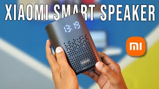 Xiaomi Smart Speaker with IR Control Review in English