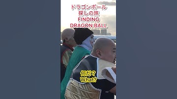 FINDING DRAGONBALLドラゴンボール探しの旅DB芸人シネマンガテレビたろちゃん組チャオズ餃子ナッパ芸人NAPPAぴっかり高木TEAM近藤ドドリア山田ライトニング天津飯 #ドラゴンボール