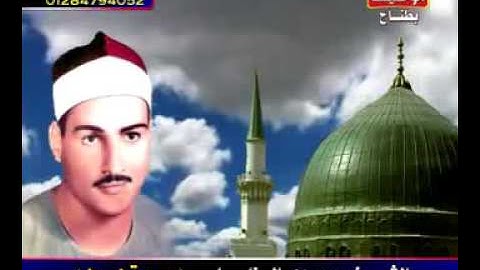 حمدى الزامل سورة هود