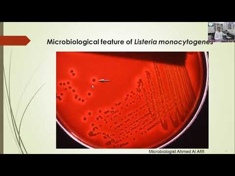 Video: Chronische Intramammaire Infectie Door Listeria Monocytogenes In Een Klinisch Gezonde Geit - Een Casusrapport