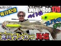 ついに出た!【荒川ランカーシーバス】降臨! 初夏の大きめベイトパターンにウェイキーブー170! #LONGIN #Fishman #ウェイキーブー #IMZリミットブレーカー #コノシロパターン