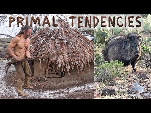 Preparing the Hut for Rain and Javelina Encounter (episode 38)