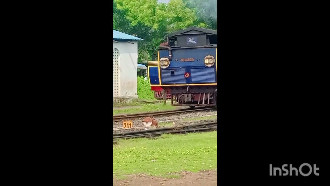 NEW YEAR RAIFANNING COMPILATION PART 1