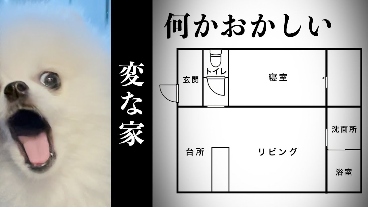 Strange House] A Pomeranian who noticed something strange about