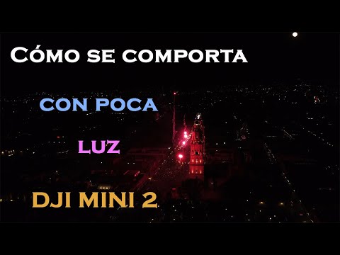 Cómo Se Comporta