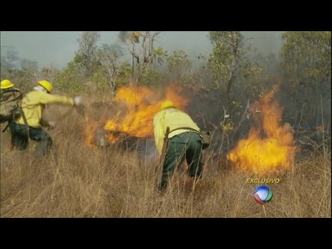 Vídeo: Como Observar A Segurança Contra Incêndio Na Floresta