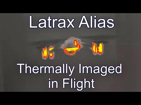 Thermal Imaging the