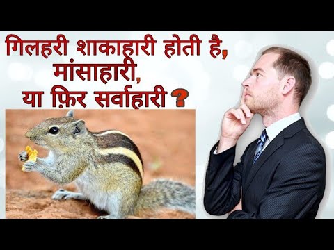 वीडियो: क्या मेएप्पल को पूर्ण सूर्य पसंद है?