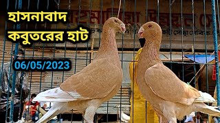 @ ০৬ মে।। কেরানীগঞ্জ হাসনাবাদ কবুতরের হাট। রেসার গিরিবাজ  এবং  ফেন্সি কবুতরের দাম জানুন। বিশাল হাট।