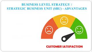 17 -  Business Level Strategy - Strategic Business Unit (SBU)