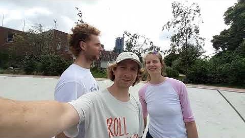 Hedgeflower en de band